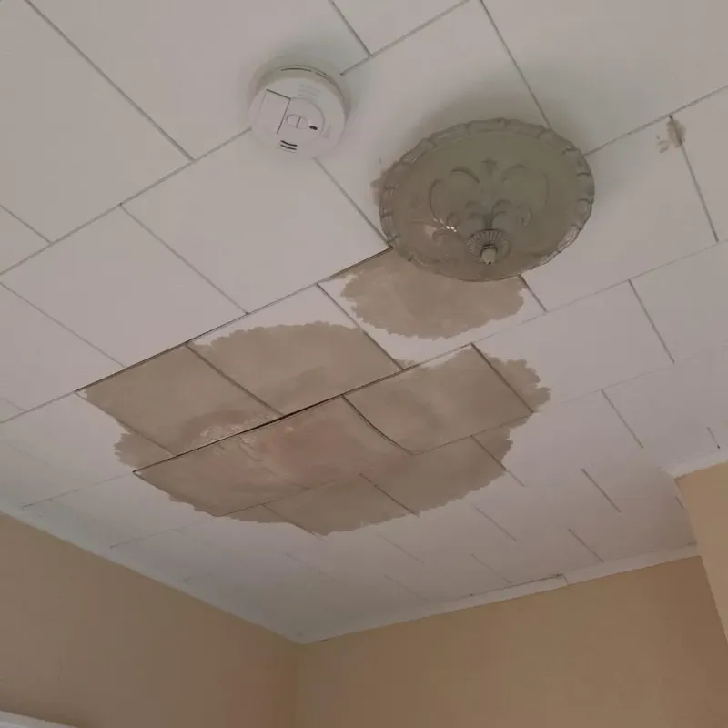 Ceiling Water Damage Repair in Thorndale, PA